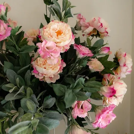 Grifoni Boutique Venedik